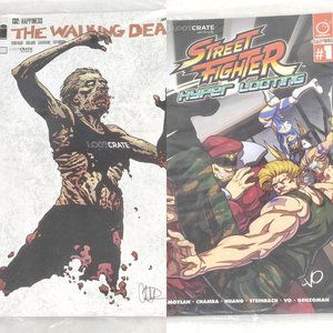 Loot crate comic lot sealed the walking dead street fighter